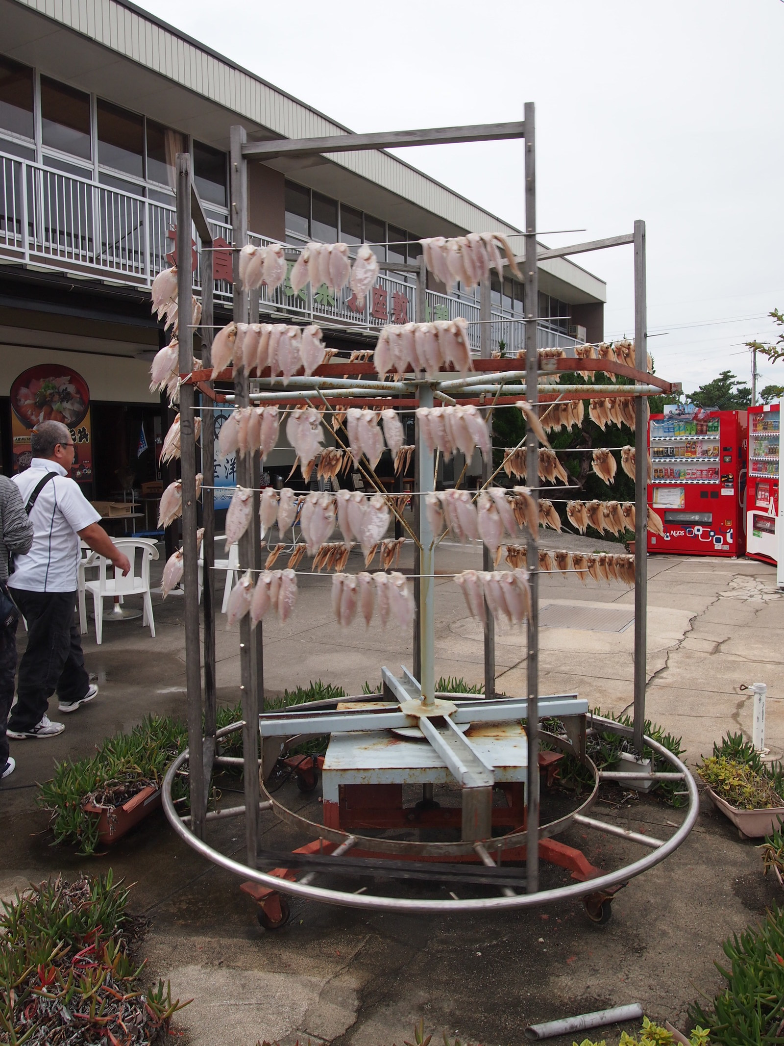 Izumo. - My, Japan, Travels, , Longpost