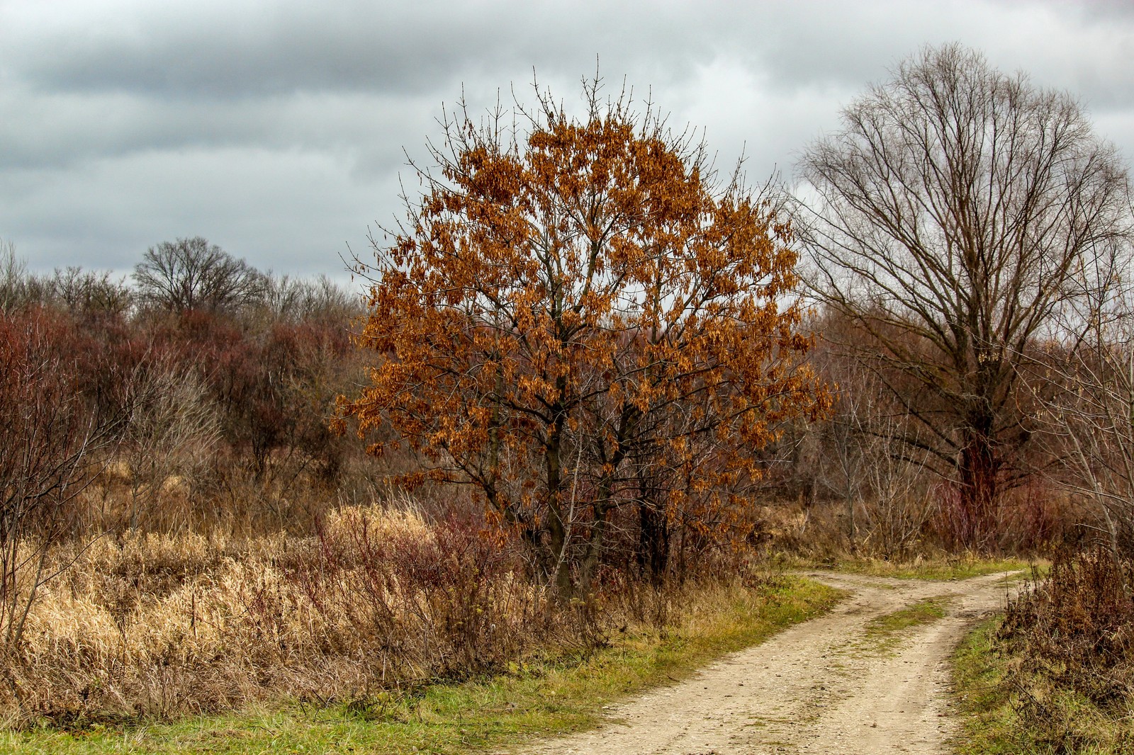 Sketch - My, Dzerzhinsk, Longpost, The photo, Canon 1300d, Huawei mate 9, Autumn