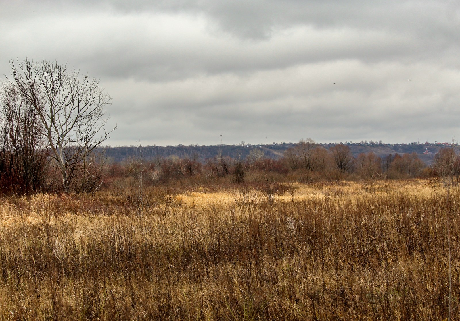 Sketch - My, Dzerzhinsk, Longpost, The photo, Canon 1300d, Huawei mate 9, Autumn