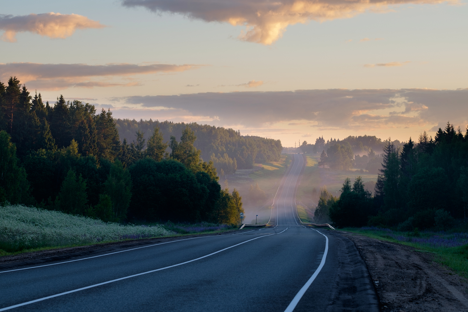 Morning is good - My, dawn, Fog, Road, The photo