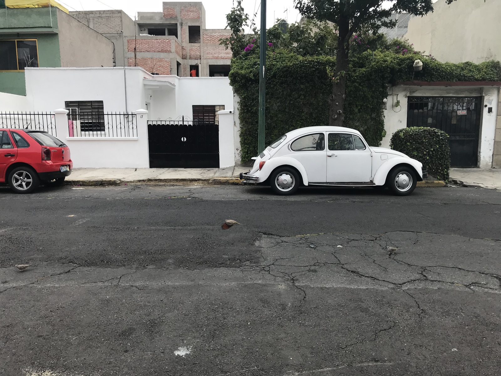 mexican beetles - My, Volkswagen beetle, Mexico, Retro car, Longpost