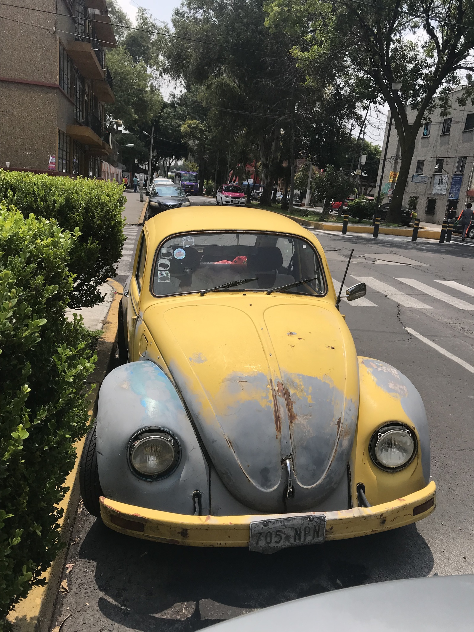 mexican beetles - My, Volkswagen beetle, Mexico, Retro car, Longpost