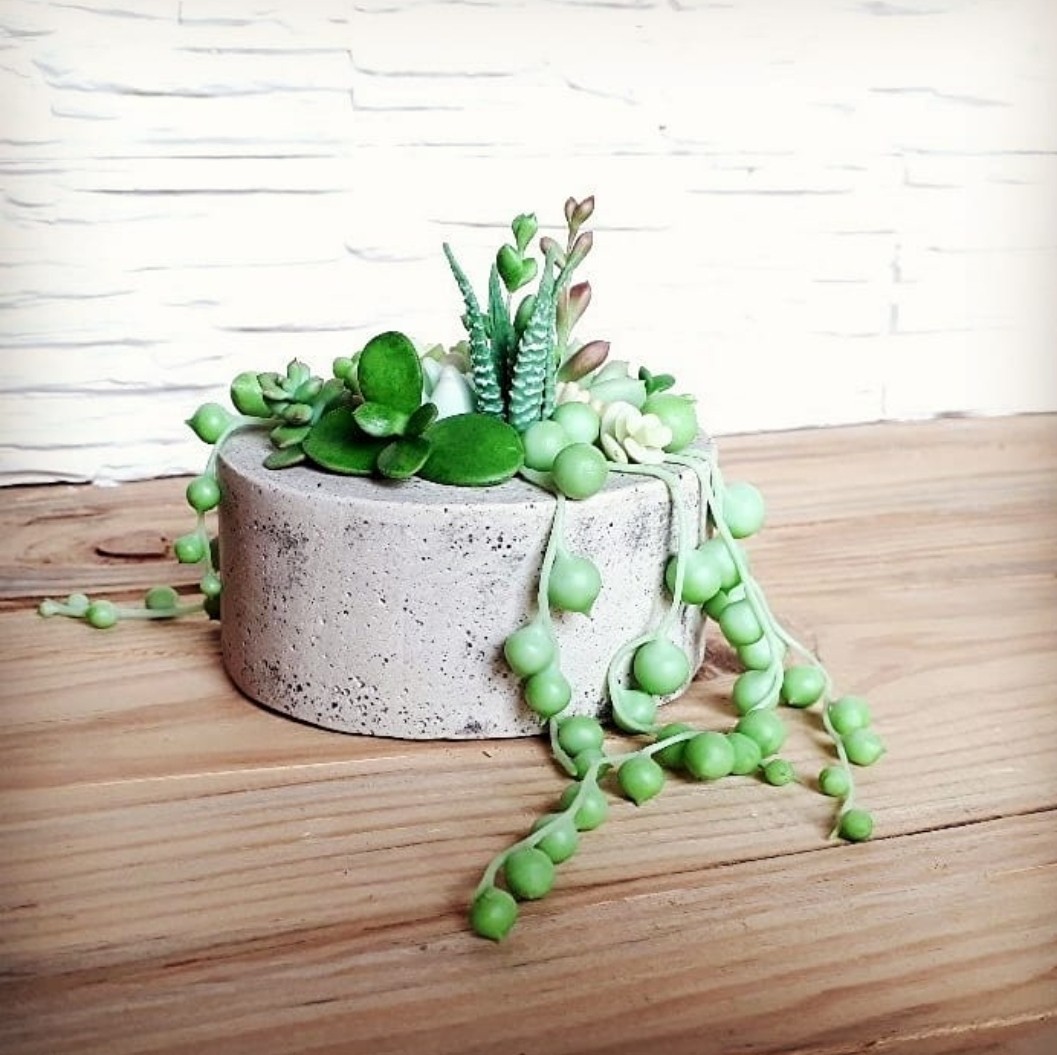 Garden with handmade succulents. - My, Succulents, Needlework without process, Handmade, Polymer clay, Cold porcelain, Video, Longpost