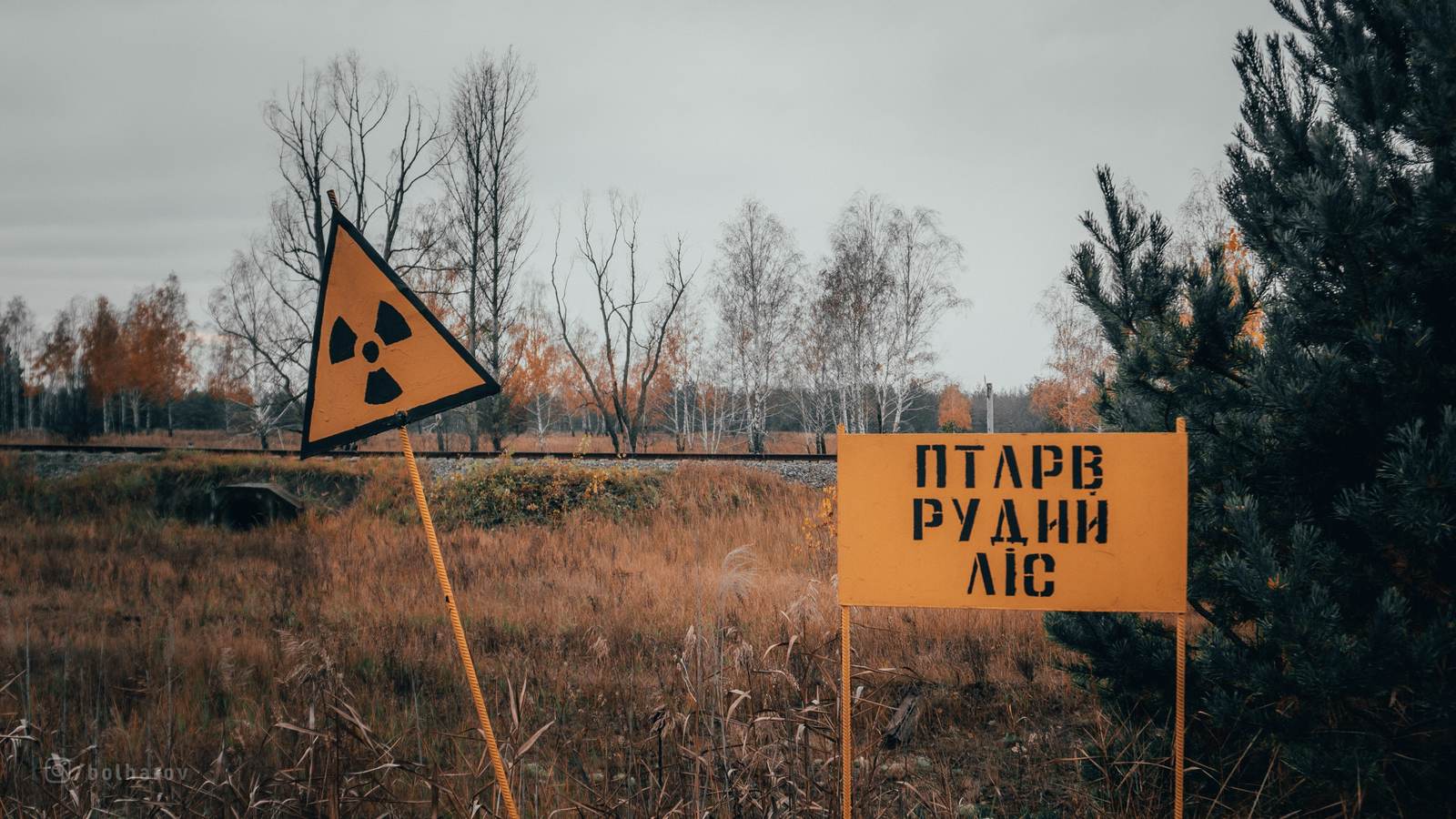 Trip to the Chernobyl Exclusion Zone - My, Chernobyl, Zuo, Pripyat, Abandoned, Urbanphoto, Video, Longpost, Dog