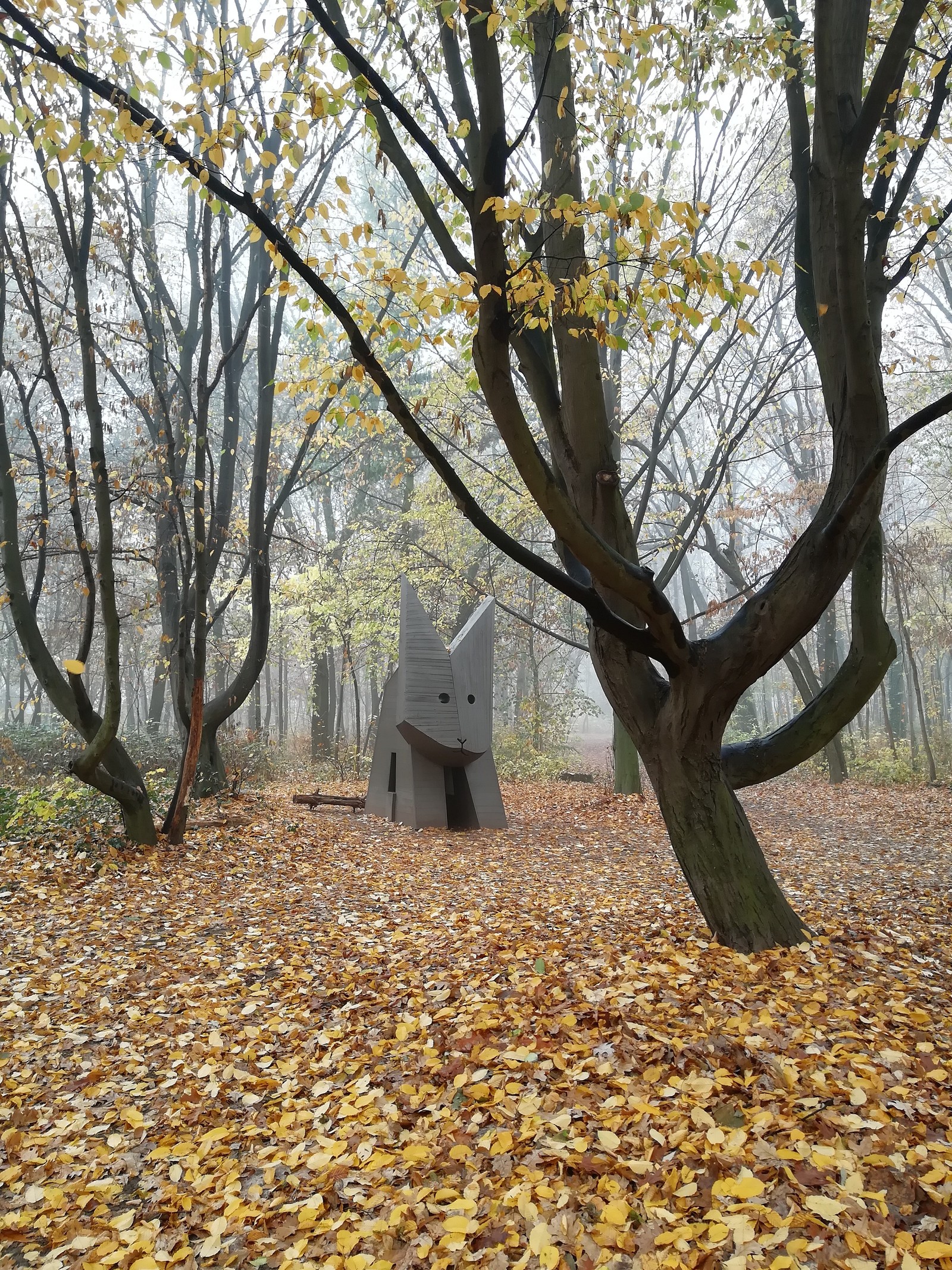 Hungary, Debrecen - Fog, Travels, Longpost