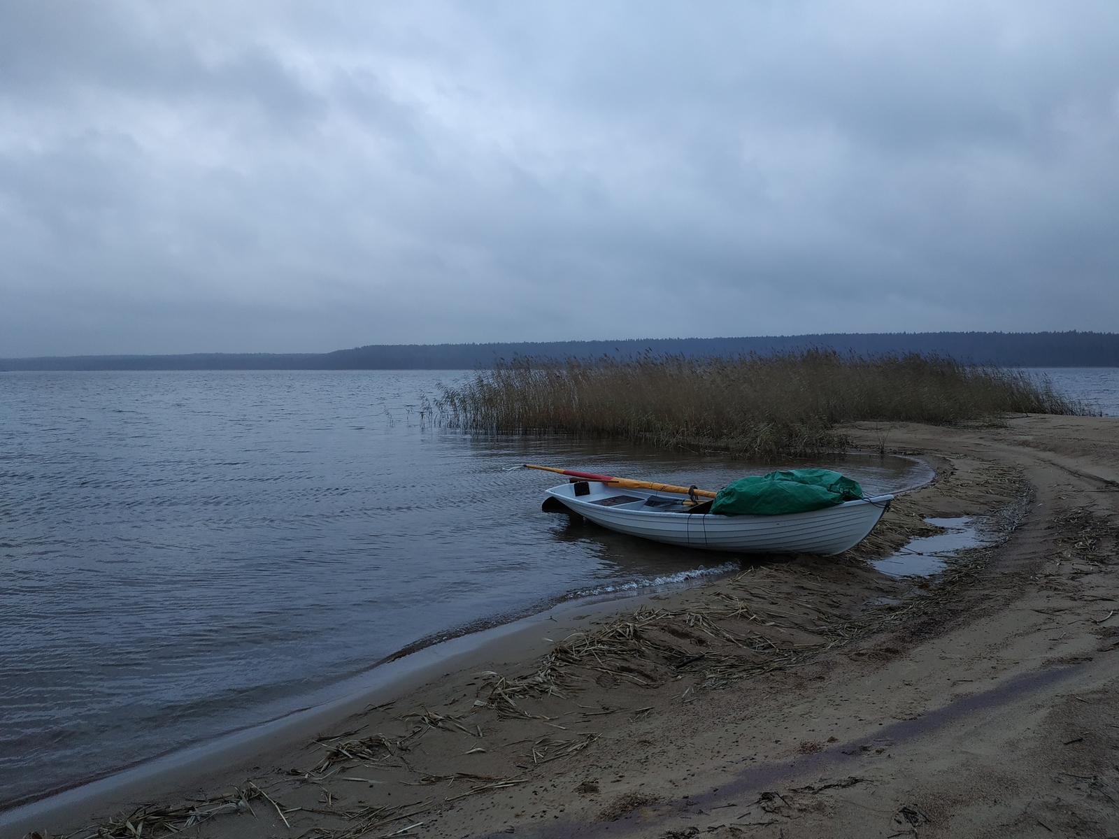 How we searched for the Sun Stone - My, Longpost, Travels, Hike, Vuoksi, Sail, A boat, Story, Tourism, Reeds, Video