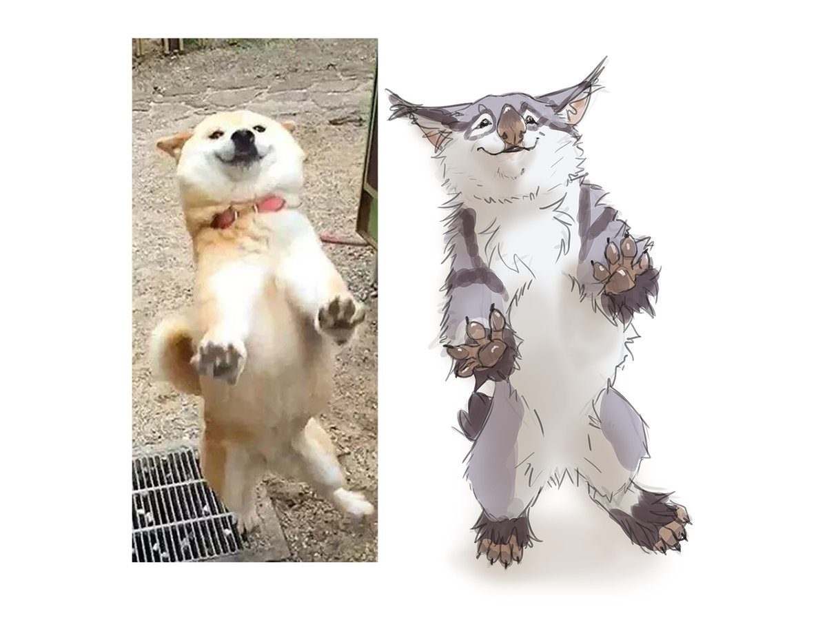 MEMEFRAME - Lynjox, Games, Warframe, Kubrow, Kavat, cat, Dog, Memes, Longpost