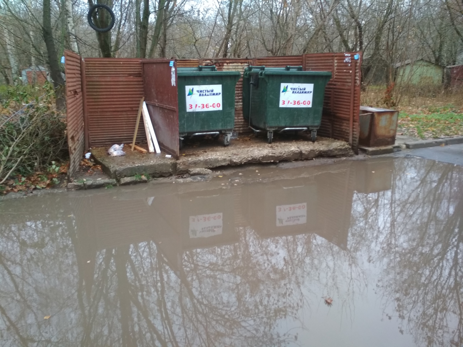 Garbage Throwing Championship - My, Trash can, Housing and communal services, Puddle