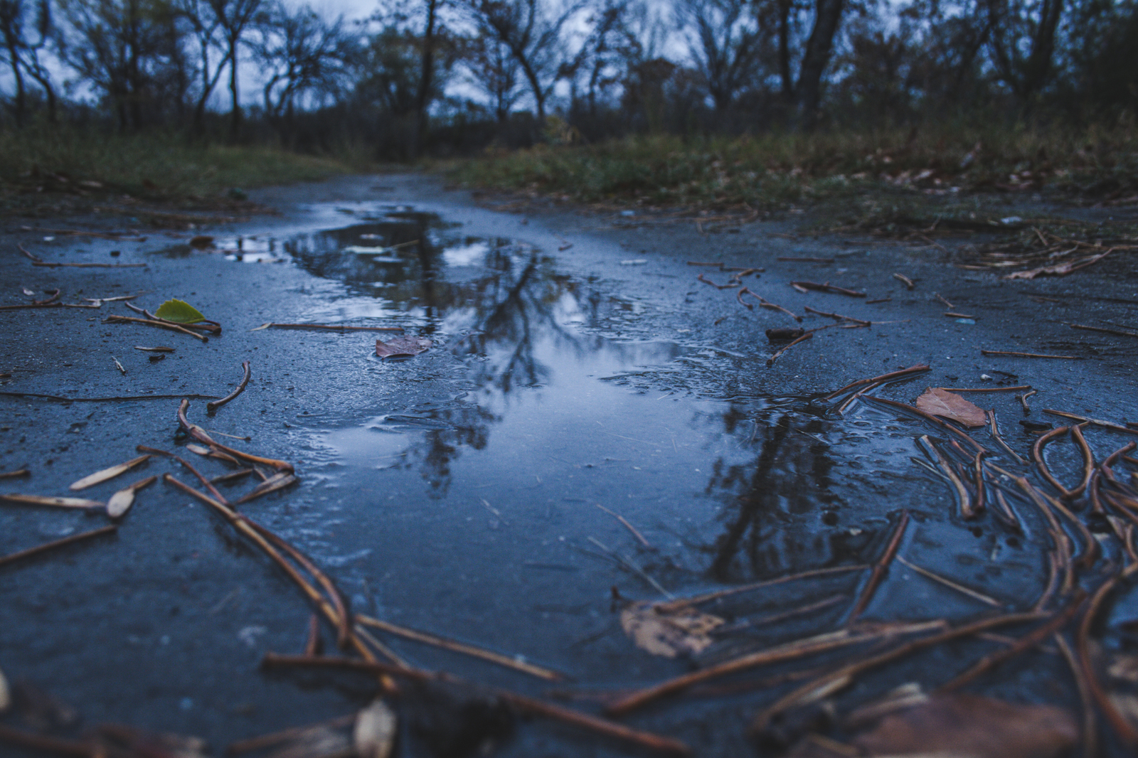 puddle - My, Beginning photographer, I want criticism, Canon, Puddle, Leaves