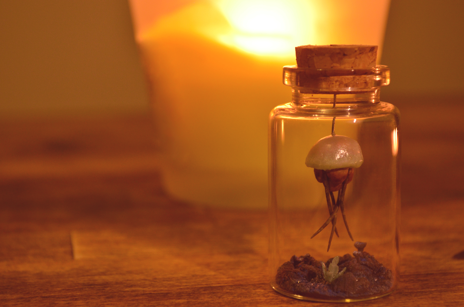 Miniatures in jars based on The Elder Scrolls 3: Morrowind - My, Miniature, The Elder Scrolls III: Morrowind, Craft, Rock Riders, Netch, The elder scrolls, Longpost