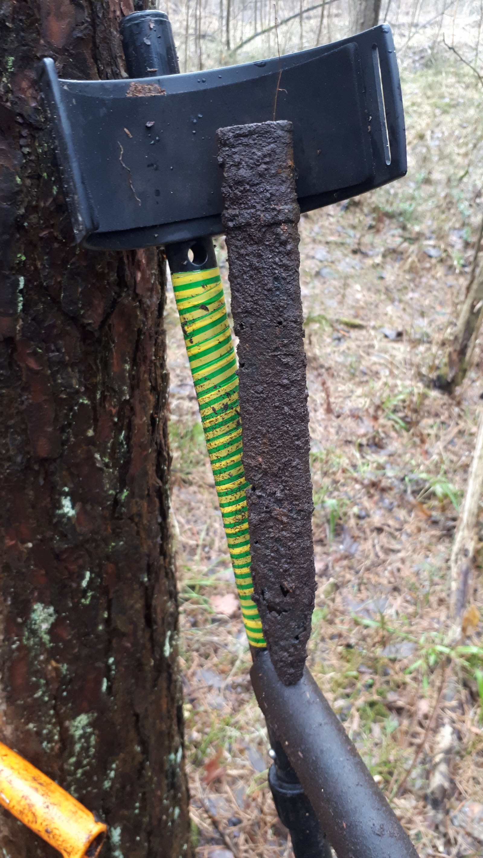 Walk through the autumn forest with a metal detector - My, Search, Find, Forest, Longpost