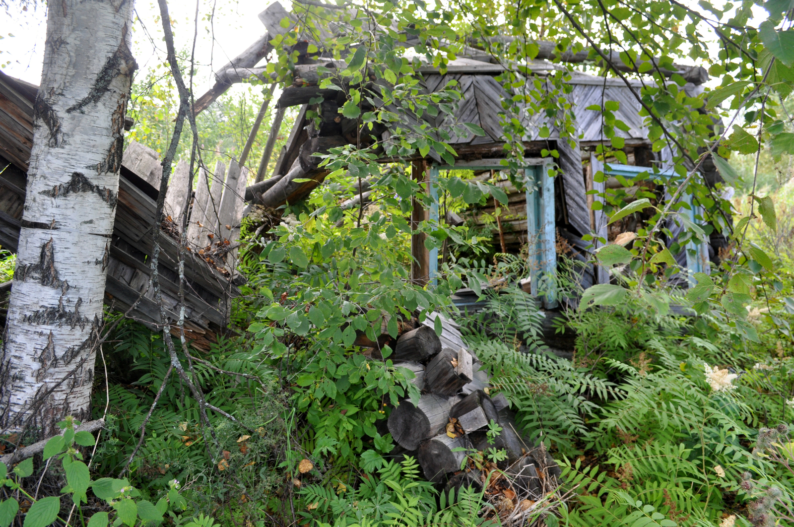 A trip to an abandoned horticulture - My, Ural, Sarana, Gardening, Urbanfact, Nature, Longpost