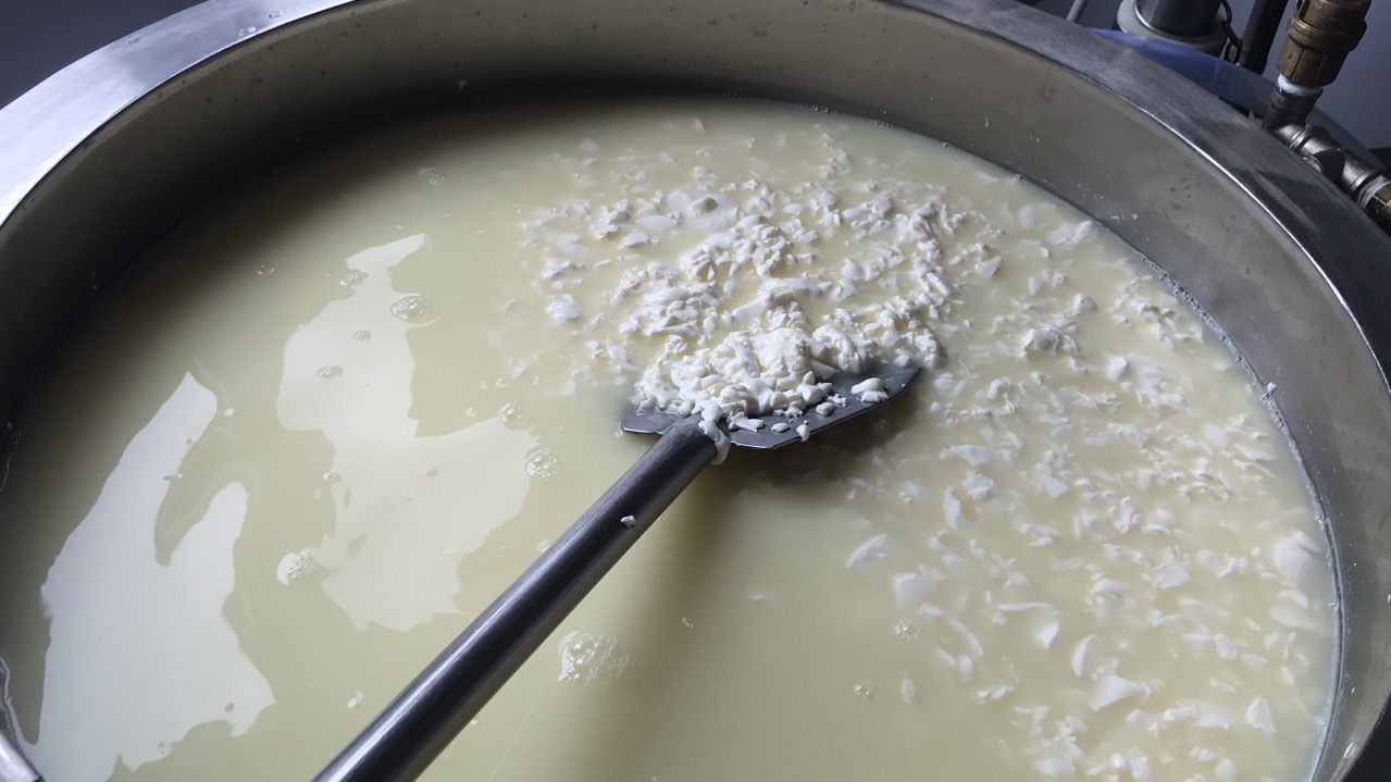 From a saucepan to a cheese factory. - My, Cheese, Cheese making, Craft, Longpost, Food, Equipment