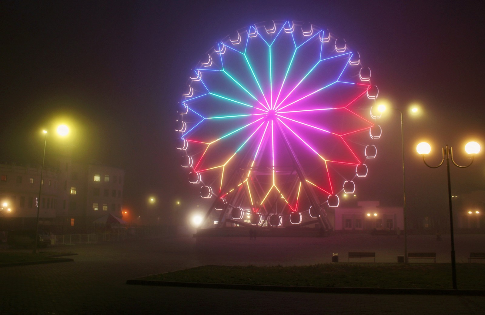 Foggy November evening - My, The photo, Beginning photographer, Fog, The park, Longpost