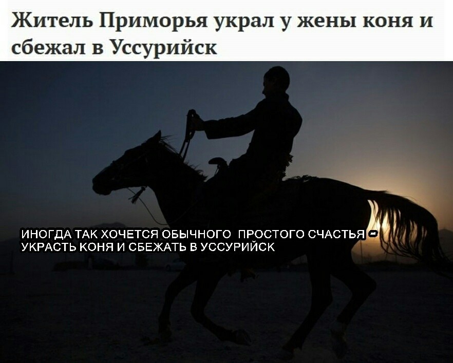 Run away and forget - Ussuriysk, Pedal horse, Picture with text, Happiness, Wife