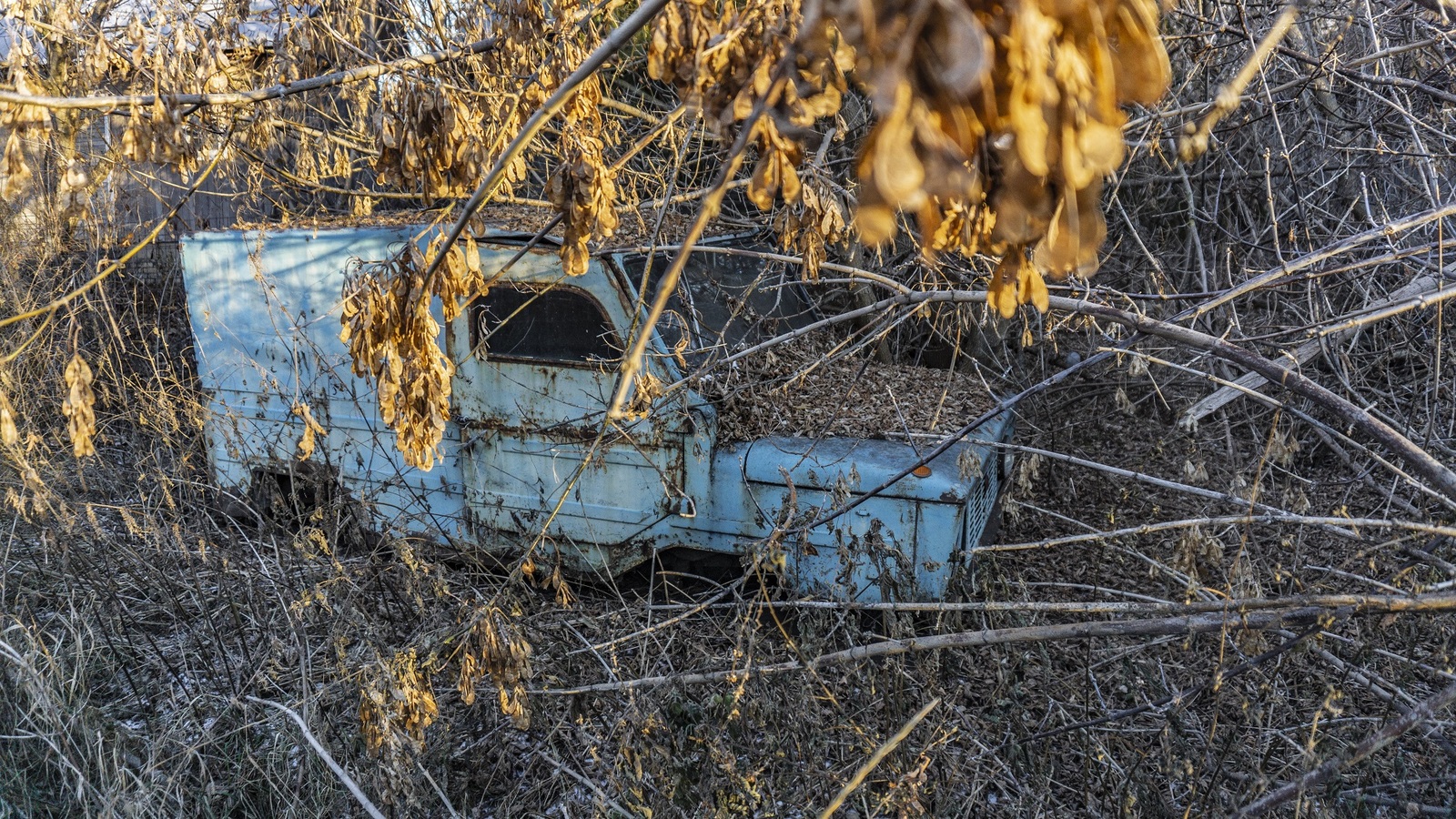 Abandoned village reclamation of princess ponkotsu