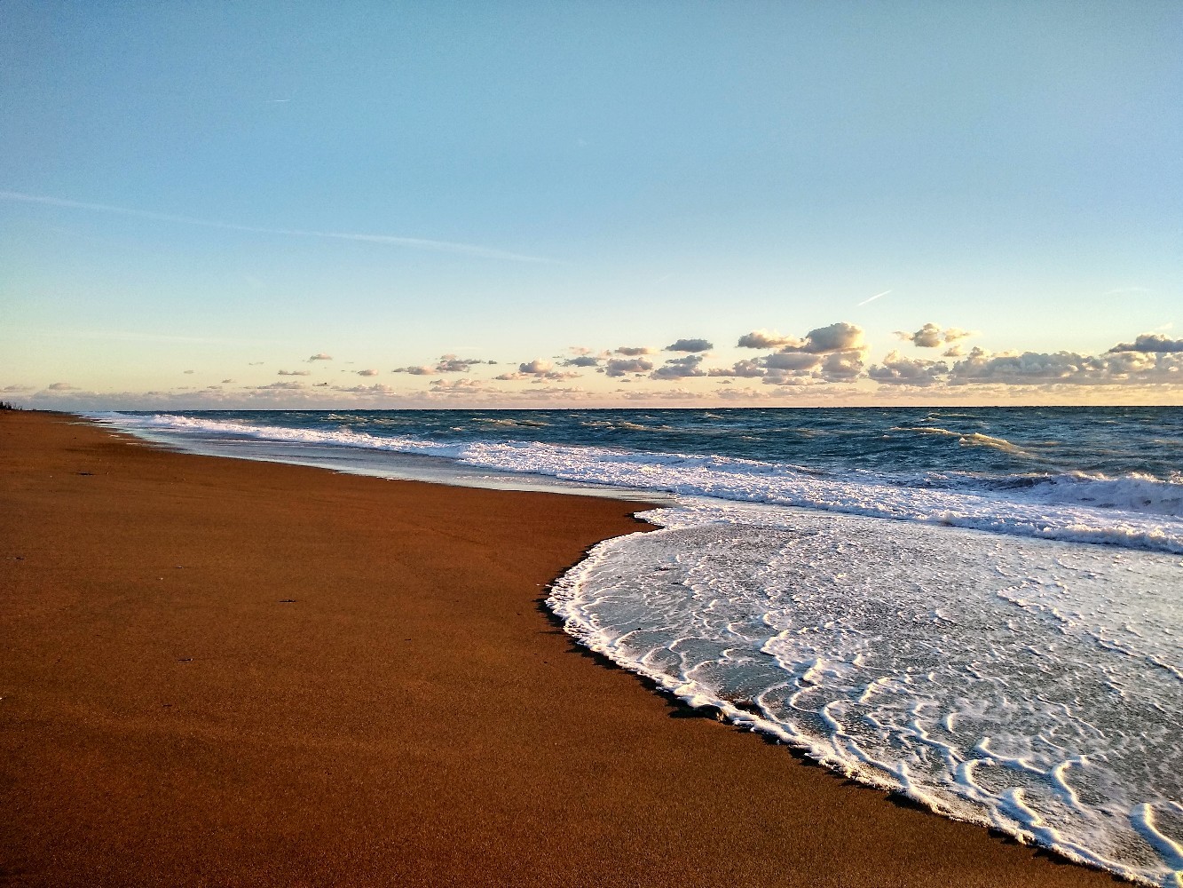 And Sochi is good! - My, Sochi, Abkhazia, Black Sea, October, Tangerines, Relaxation, Travels, Longpost