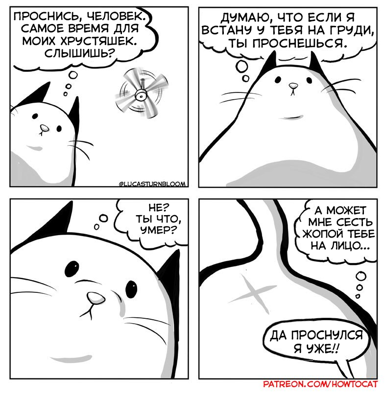 At 4 in the morning - Comics, cat, Lucas Turnbloom, Morning, Animal feed