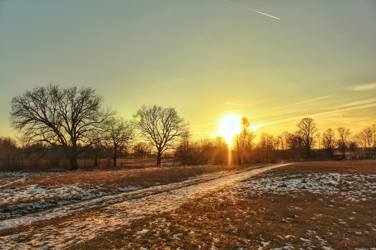 November sunset - My, Sunset, Beginning photographer, The photo, Forest, Longpost