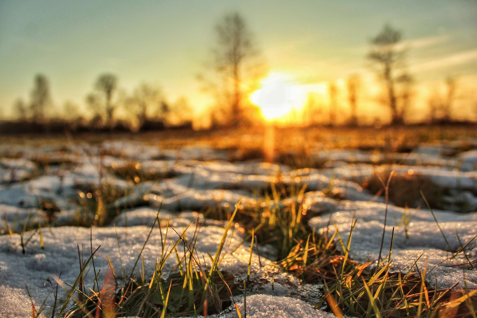 November sunset - My, Sunset, Beginning photographer, The photo, Forest, Longpost