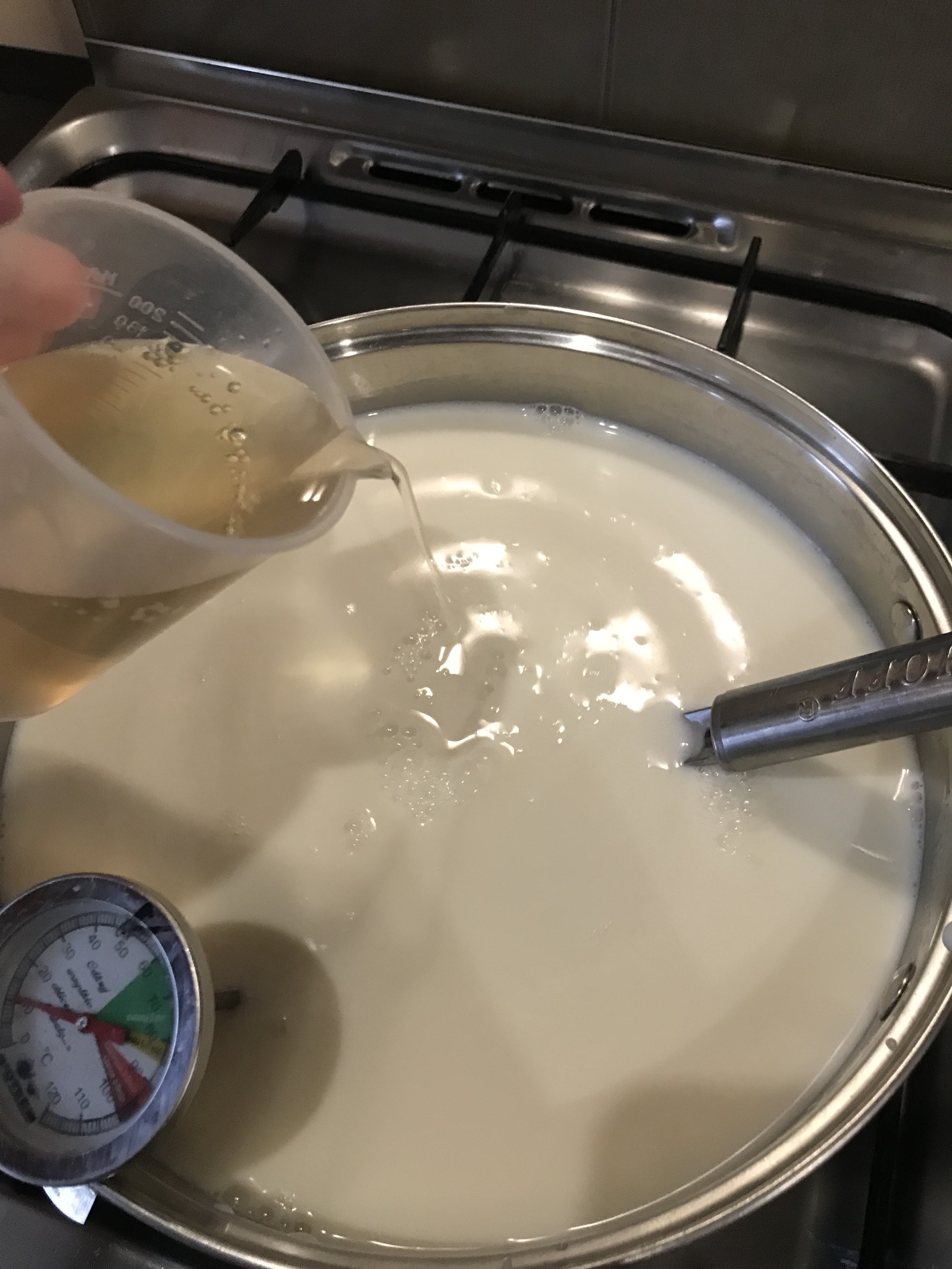 Cheese stories continue. Mozzarella. - My, Cheese, Recipe, Video, Food, Mozzarella, Craft cheese, Cheese making, GIF, Longpost