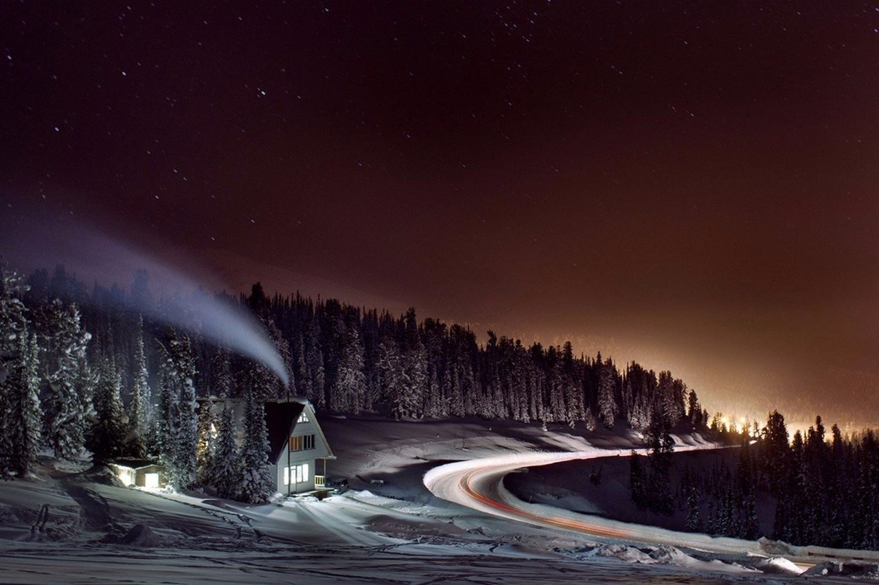 Night taiga - Society, Russia, Taiga, Night, The photo, beauty, Nature, Twitter