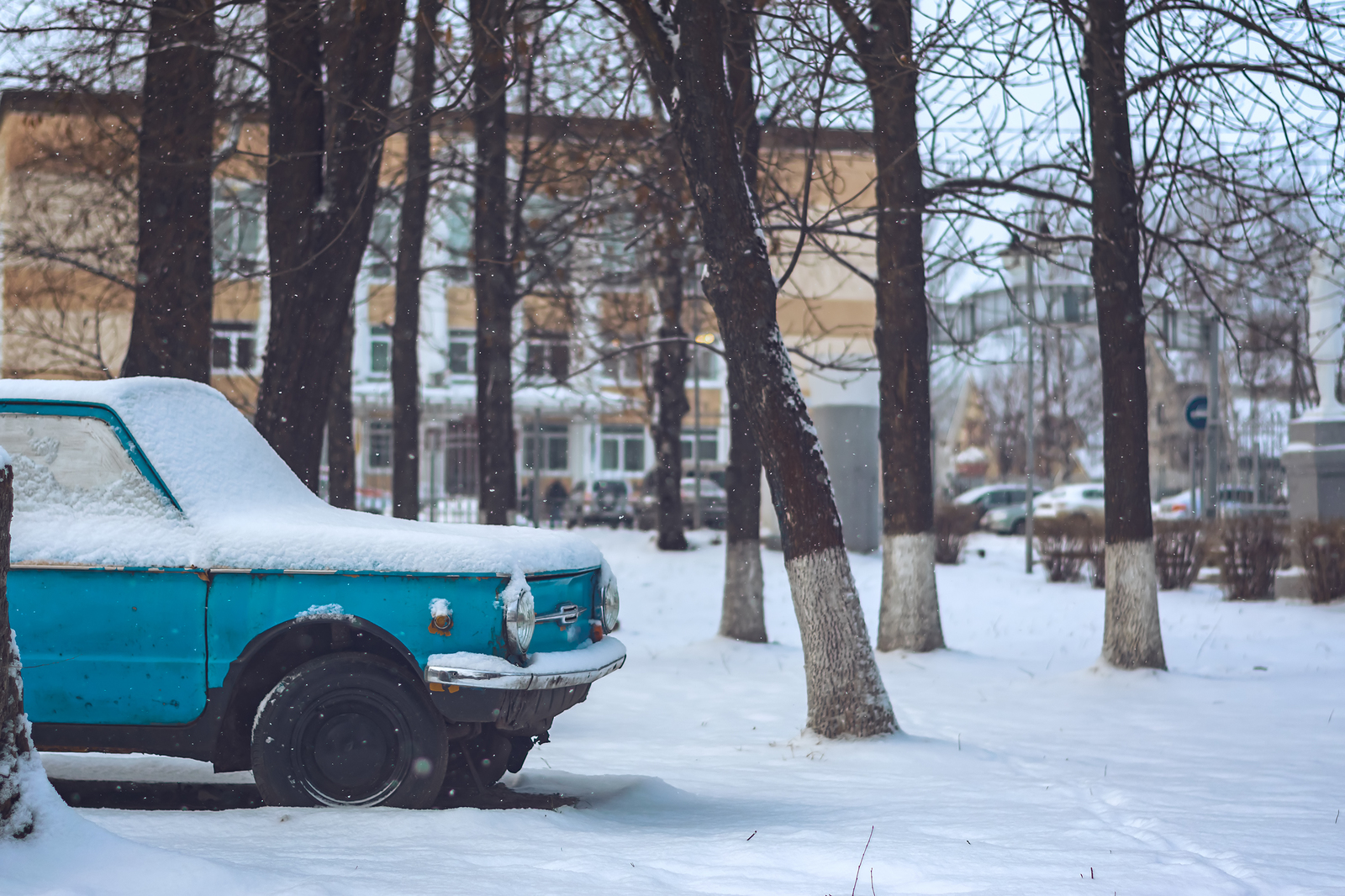 Winter... - My, Nikon d5300, Nikkor 50mm, Winter, Tutaev, Snowfall, Snowflake, Longpost, The photo