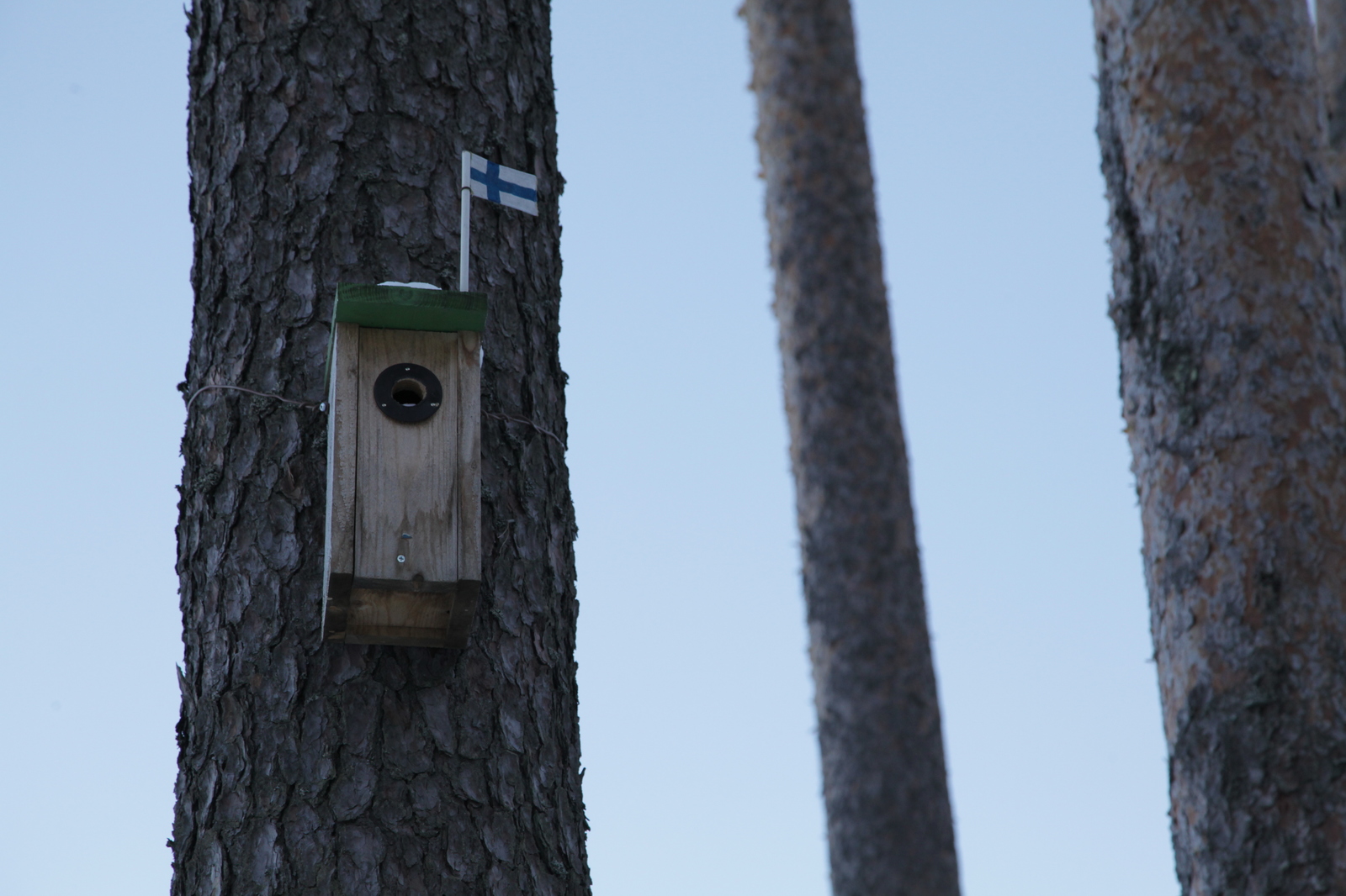 Finland - My, Finland, Birdhouse, Worm, Wave, Longpost