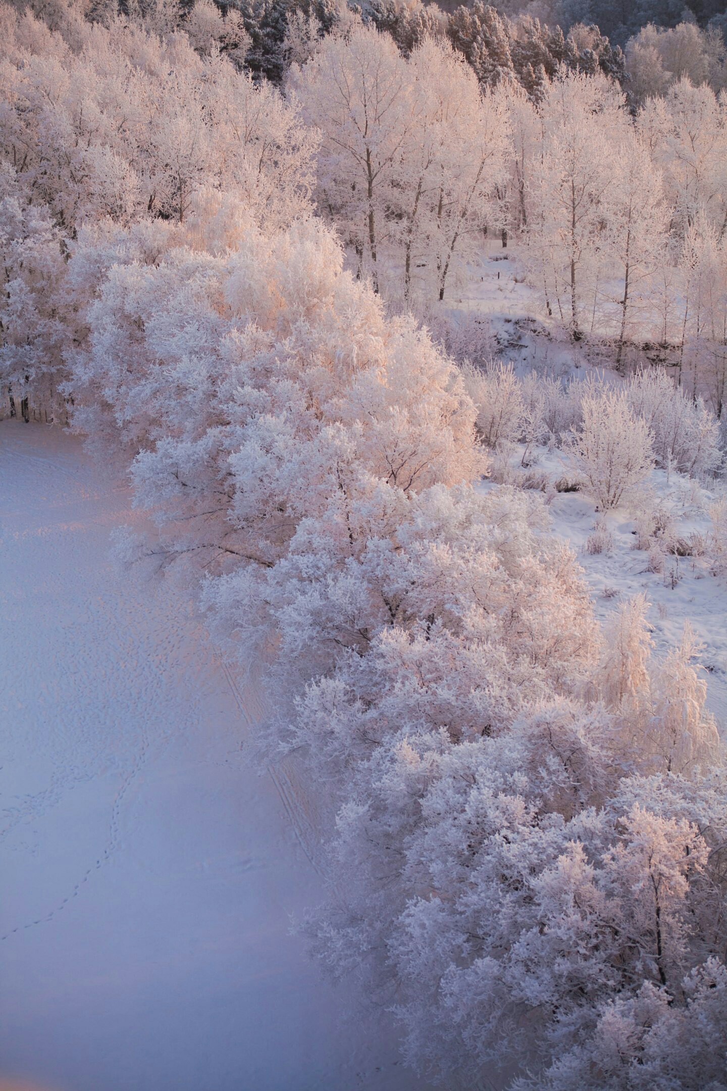 Frosty sunrise in Novosibirsk - freezing, Cold, Snow, Winter, Novosibirsk, dawn, Nature, Russia