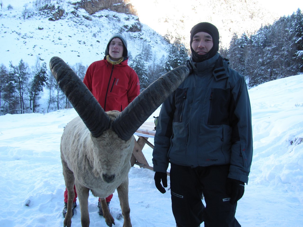 Winter hike along Teberda - My, The mountains, Tourism, Travel across Russia, Travels, Longpost