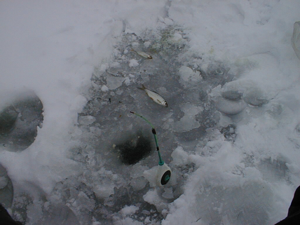 Winter fishing 20 years ago (filmed with an Epson Photo PC digital camera, 0.9 MP) - My, , 20 years, Winter, Ice, Fishing, Longpost