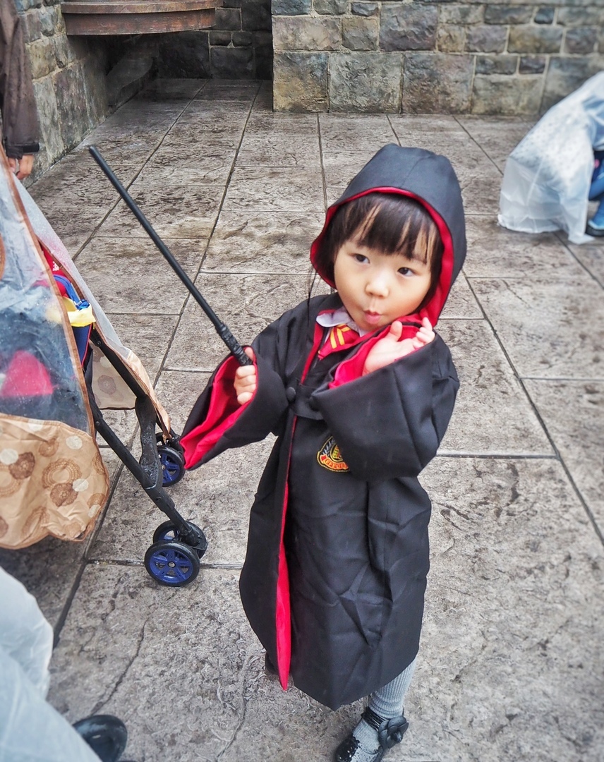 Harry Potter World in Osaka - My, Harry Potter, Magic, Travels, Japan, Guide, Longpost