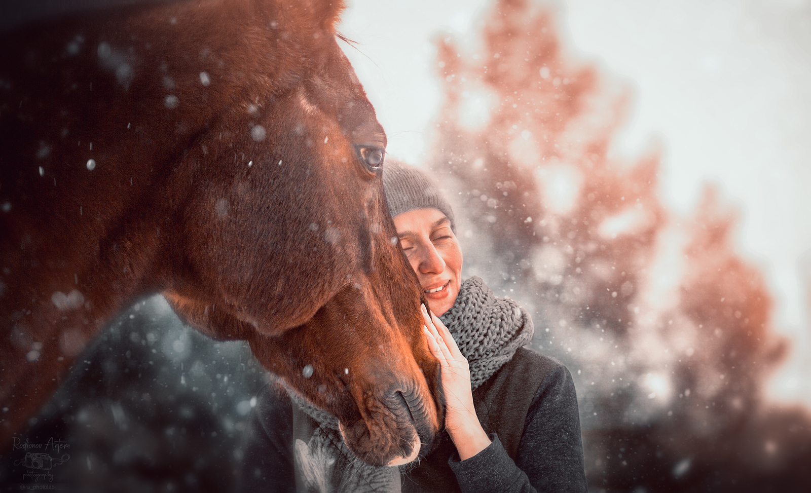 Horse and his mistress. - My, Photographer, Beginning photographer, Horses, Longpost, The photo