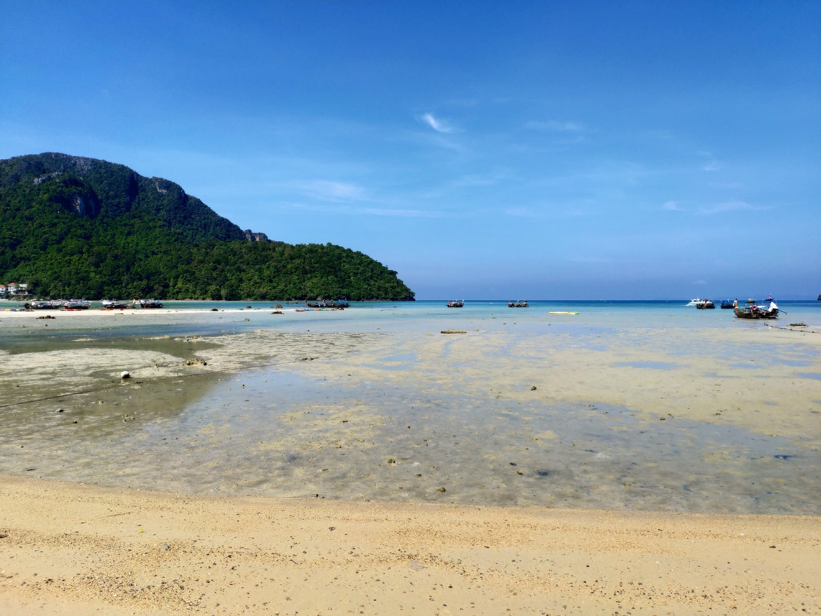 Phi Phi Islands, Thailand - My, Koh Phi Phi, Travelers, Travels, Underwater world, Video, Longpost