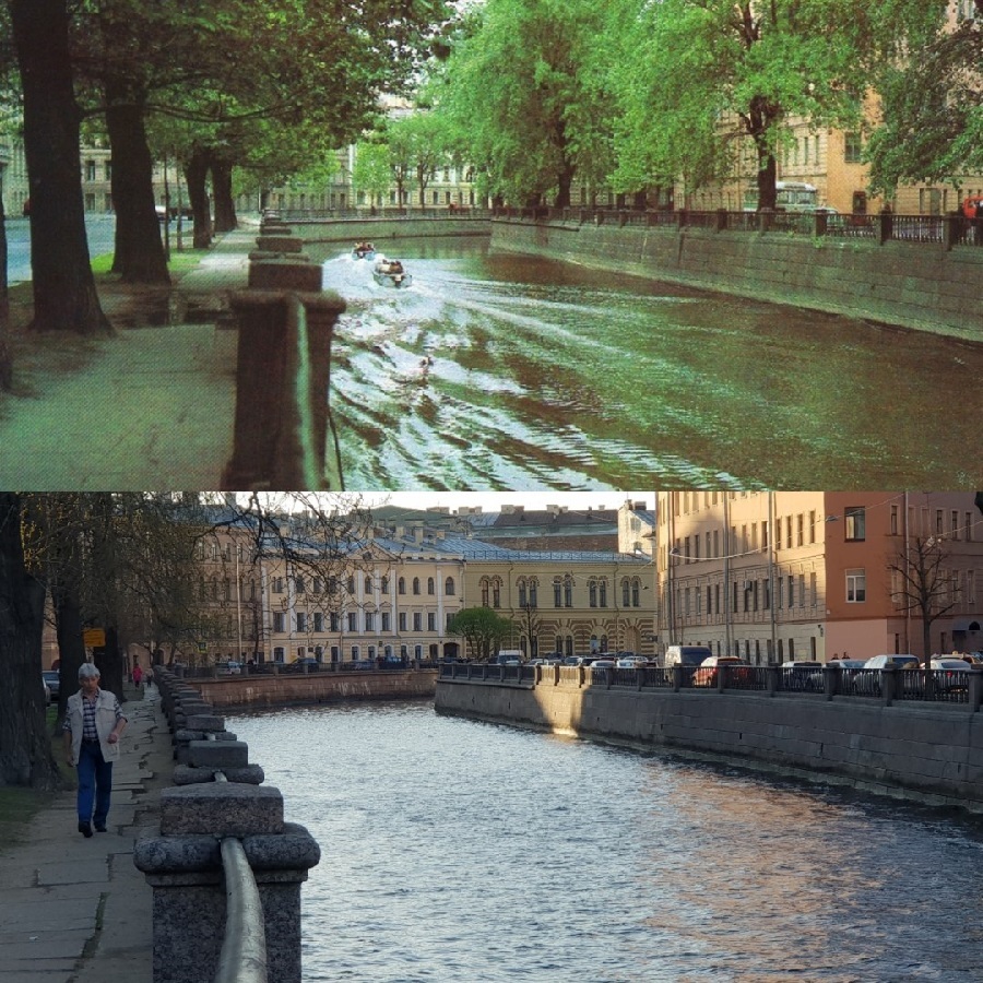 How Petersburg turned into a stone jungle - Saint Petersburg, Tree, Felling, Landscaping, Urbanism, Longpost