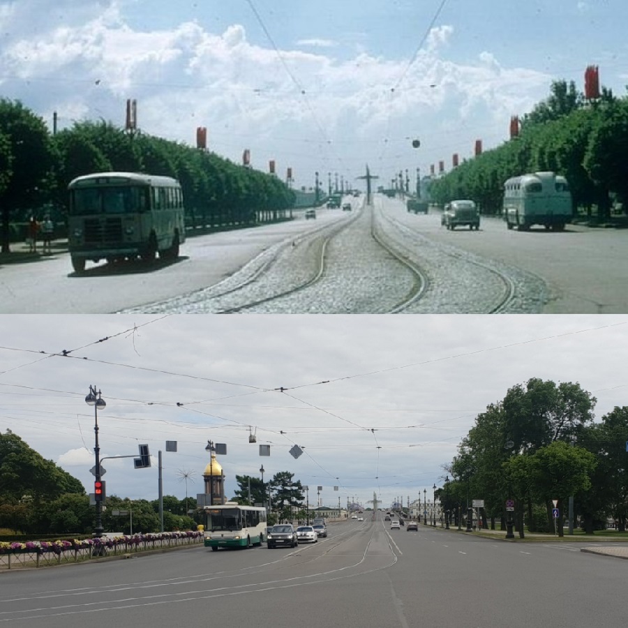 How Petersburg turned into a stone jungle - Saint Petersburg, Tree, Felling, Landscaping, Urbanism, Longpost