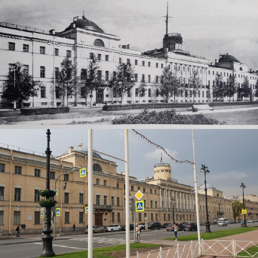 How Petersburg turned into a stone jungle - Saint Petersburg, Tree, Felling, Landscaping, Urbanism, Longpost