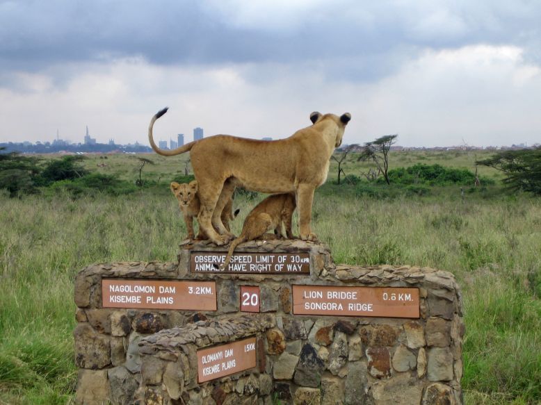 On the outskirts of the city - Ecology, wildlife, Ecosphere, Kenya, Reserve, Nairobi, Longpost, Animals, Reserves and sanctuaries