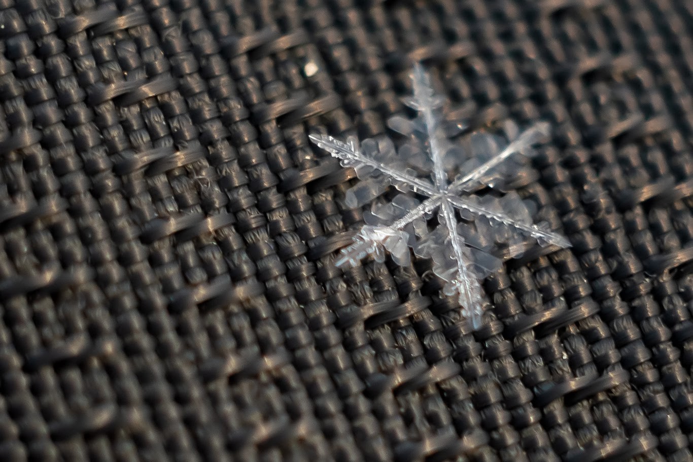 Snowflake... - My, Nikon d5300, Helios 44m, Macro, The photo, Helios 44m, Macro photography