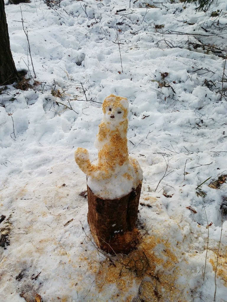 Snow sable - My, Weasel, Ermine, Winter, Snow, snowman, Stump, Forest, Sable, Longpost