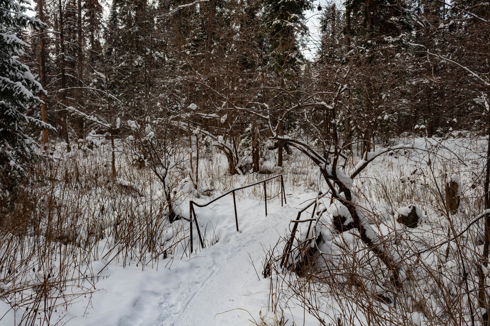 Season - My, Seasons, Summer, Autumn, Winter, Landscape, The photo