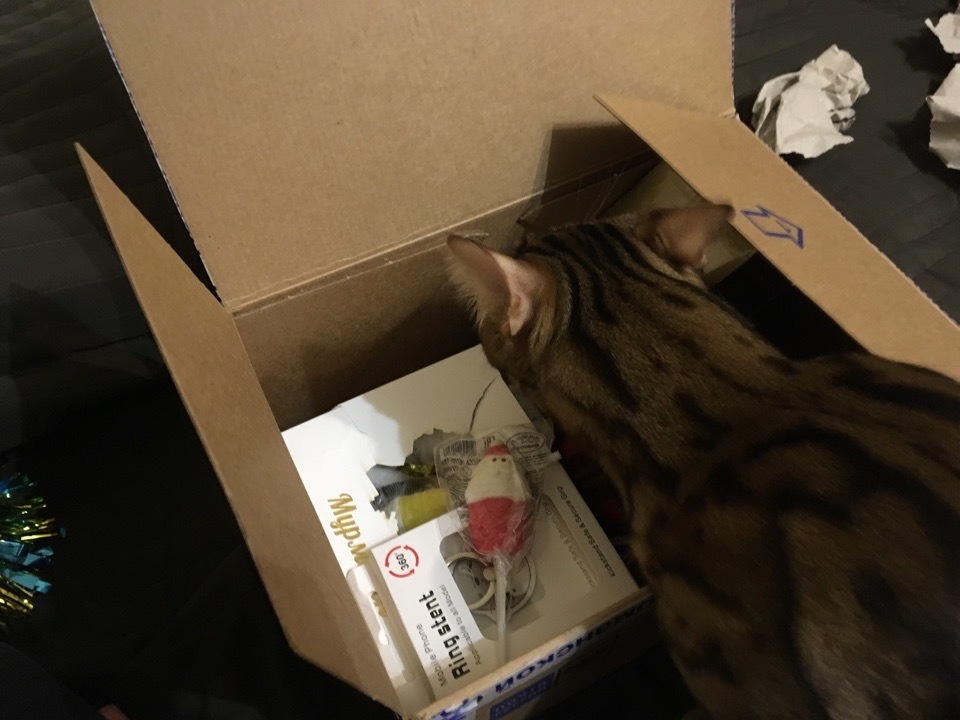 Gift from Murmansk! new year mood post - Gift exchange report, Secret Santa, Gift exchange, cat, Longpost