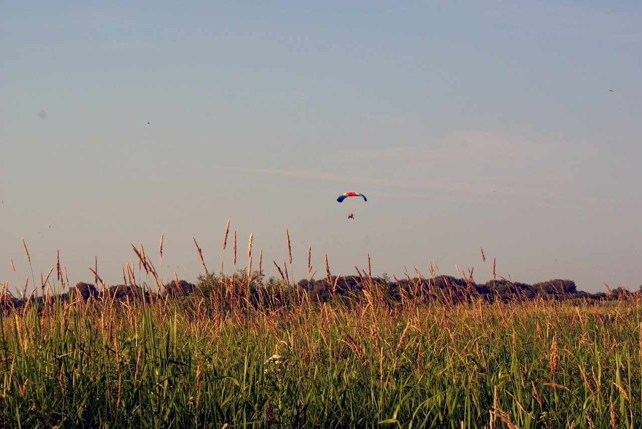 Summer in photos - My, Summer, Nature, The photo, A life, Hobby, Beautiful, Heat, Insects, Longpost