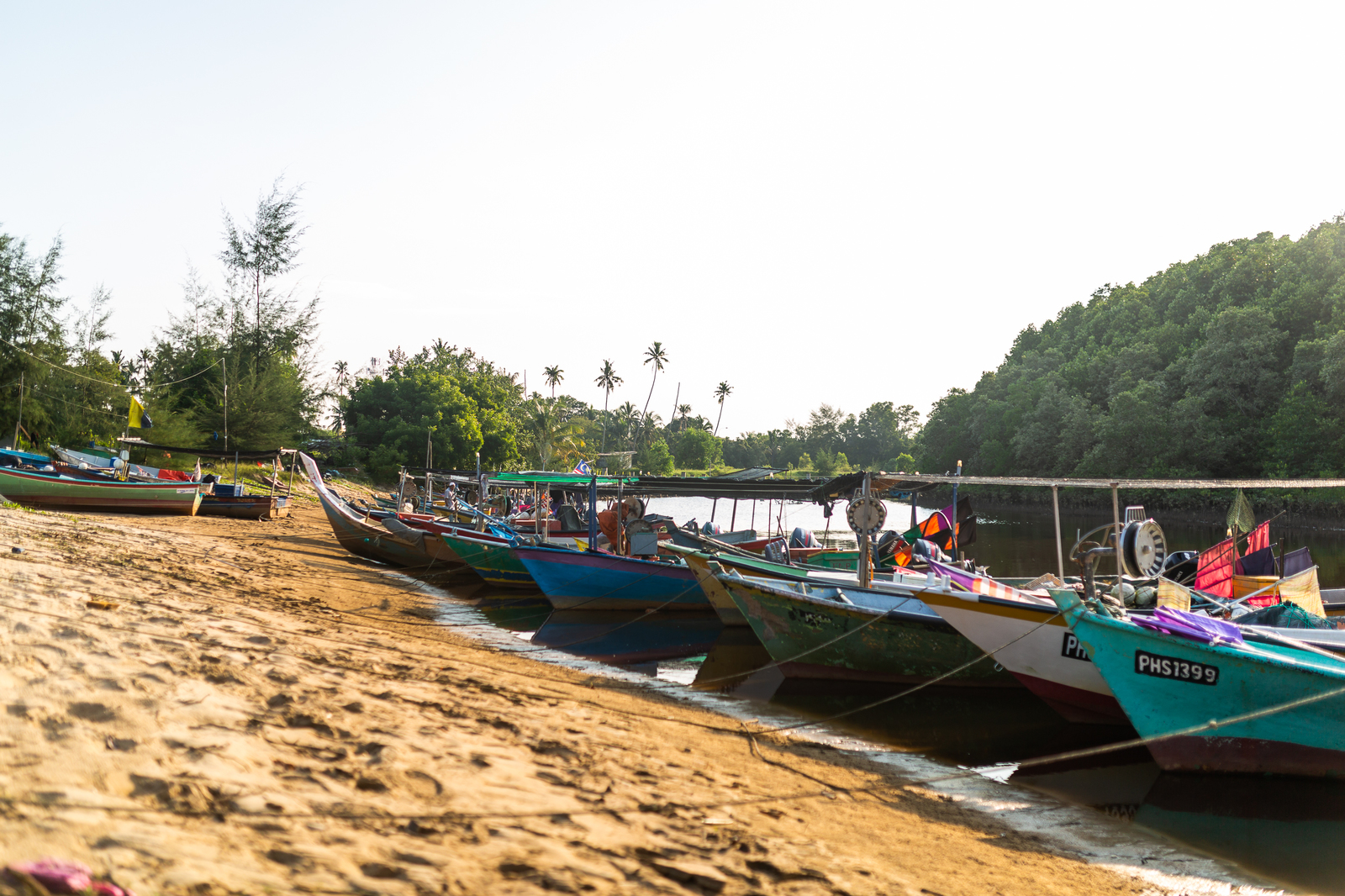 No return ticket needed. 5. Singai Ular - My, Travels, Malaysia, Fishing, Ocean, Horseshoe Crab, Stingray, Video, Longpost