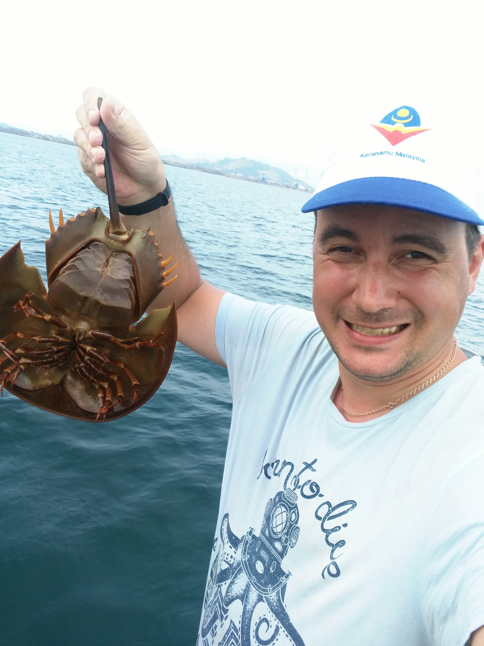 No return ticket needed. 5. Singai Ular - My, Travels, Malaysia, Fishing, Ocean, Horseshoe Crab, Stingray, Video, Longpost