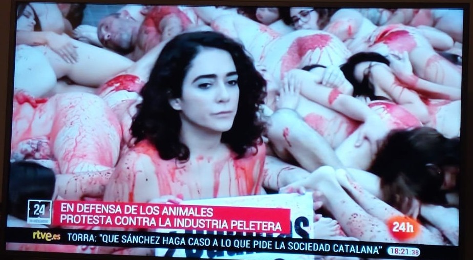 Spain, protest against the use of fur and animal skin - NSFW, Spain, Protest, Radical animal protection