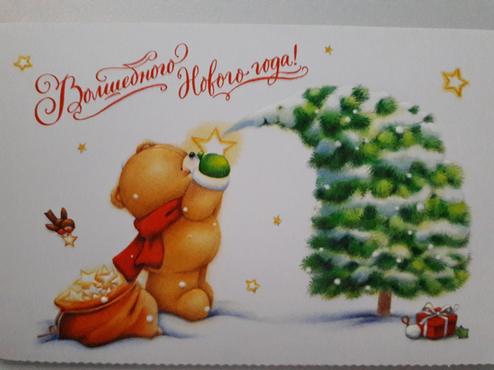 A gift from the Girl Frost from Kemerovo to St. Petersburg - My, New Year, Secret Santa, Gift exchange, New Year's gift exchange, Longpost, cat, Gift exchange report