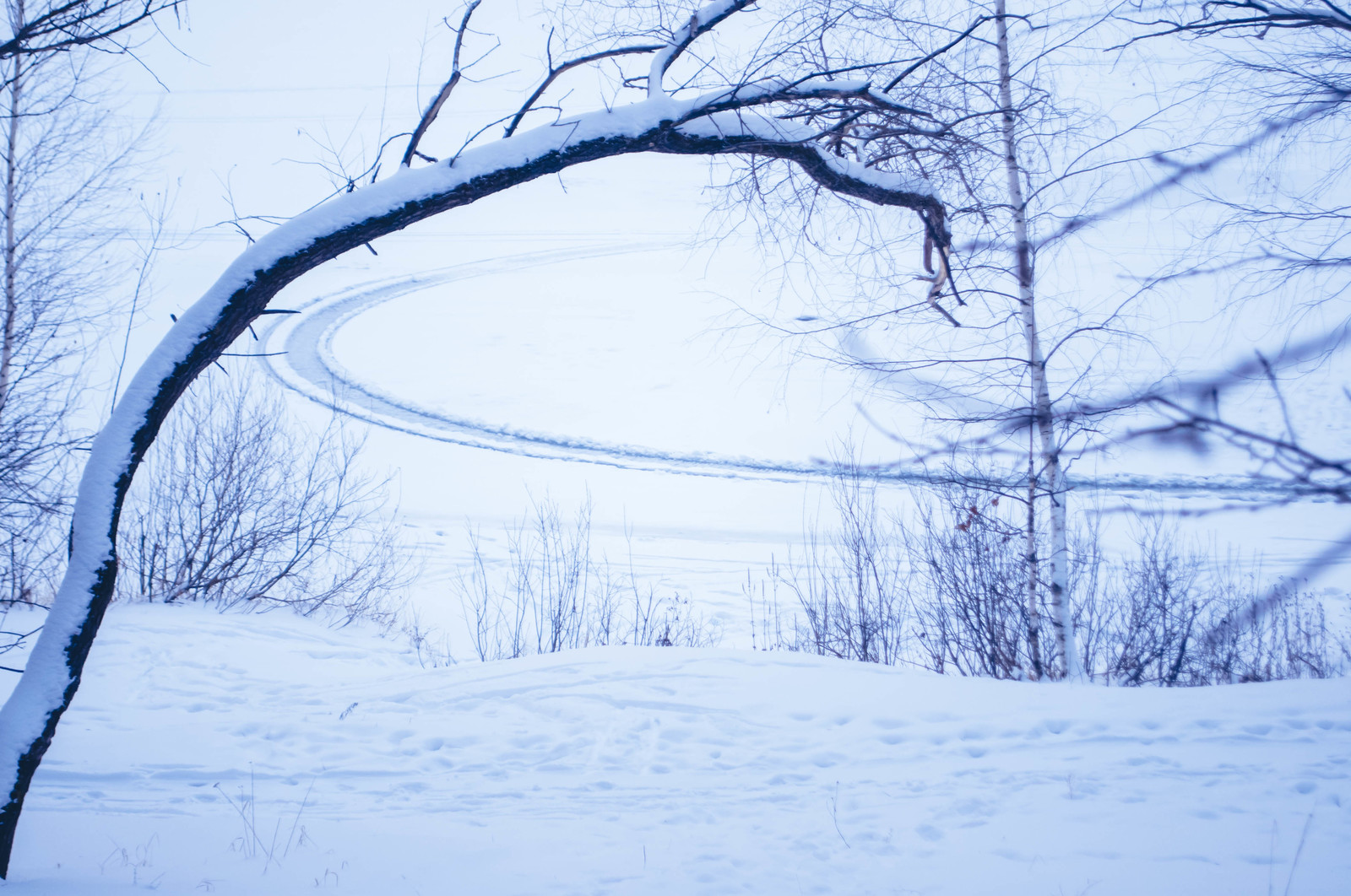 Photo walk. - My, The photo, Landscape, Winter, Nature, Hike, Russia, Kazan, Lebyazhye, Longpost