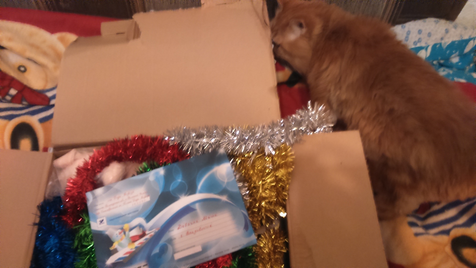 ADM. So I received a gift from Blagoveshchensk-Vladivostok - My, Secret Santa, Gift exchange, Gift exchange report, Longpost