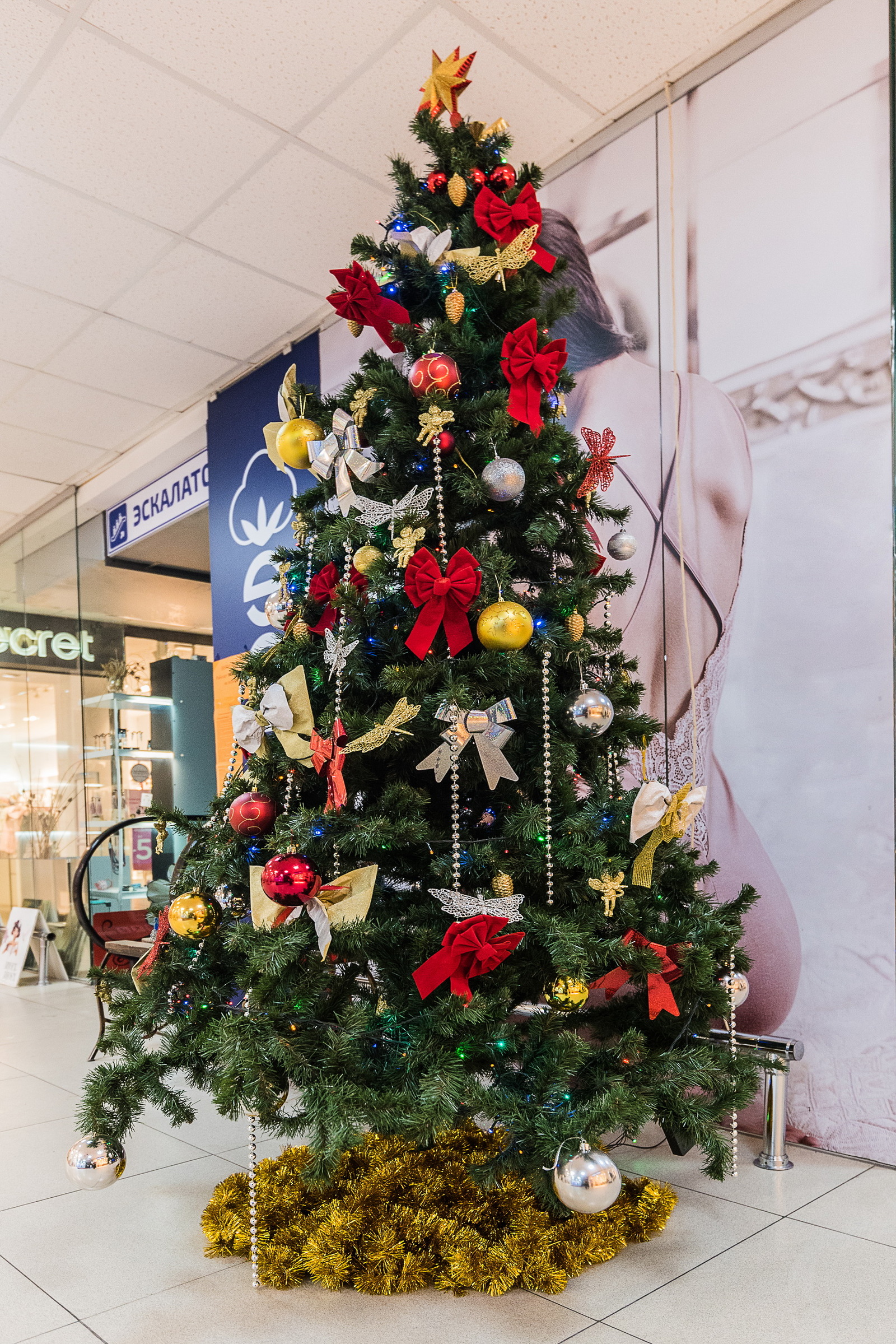 New Year's Minsk! - My, Minsk, Republic of Belarus, 2019, New Year, Christmas, Longpost